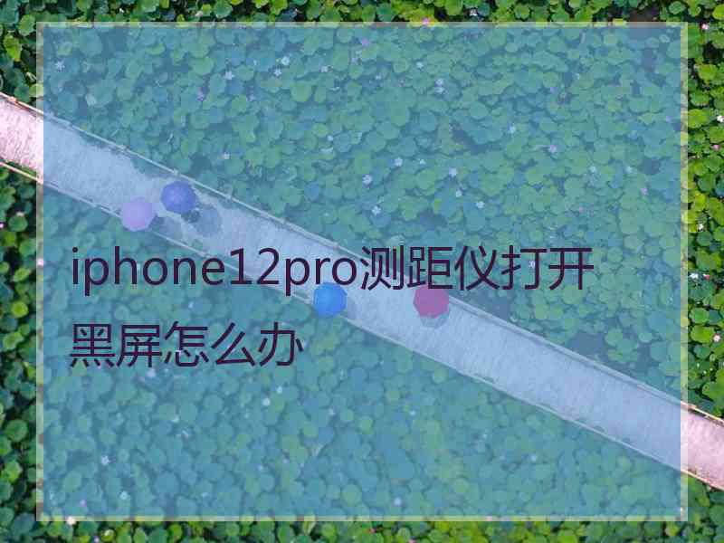 iphone12pro测距仪打开黑屏怎么办