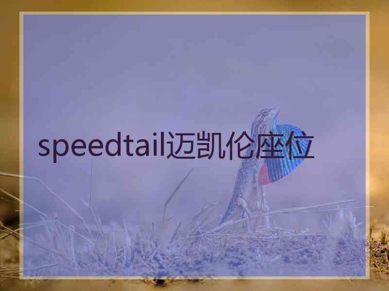 speedtail迈凯伦座位