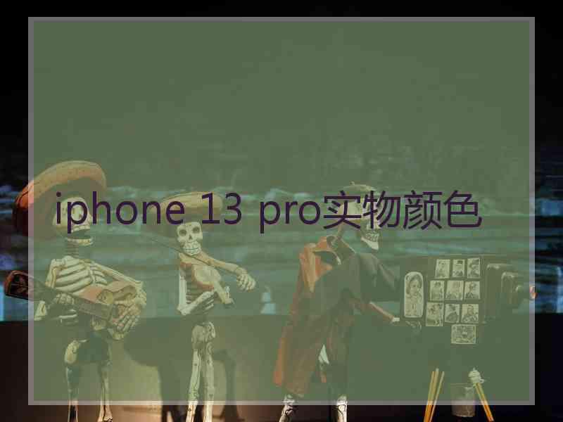 iphone 13 pro实物颜色