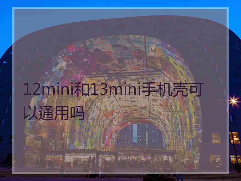 12mini和13mini手机壳可以通用吗