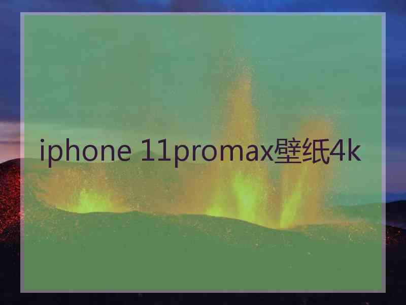 iphone 11promax壁纸4k