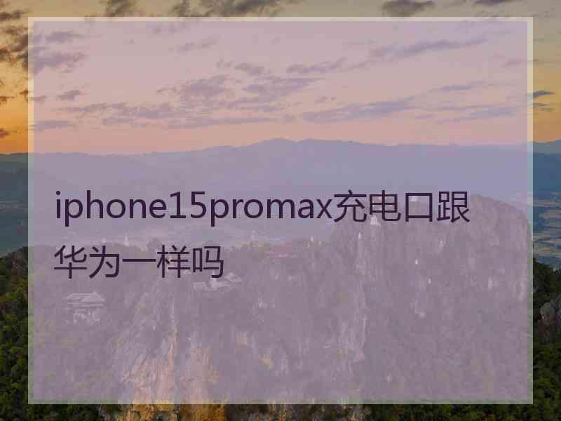 iphone15promax充电口跟华为一样吗