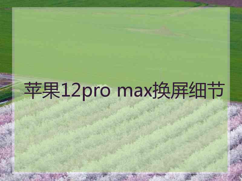 苹果12pro max换屏细节