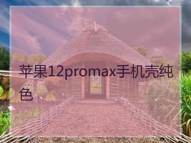 苹果12promax手机壳纯色