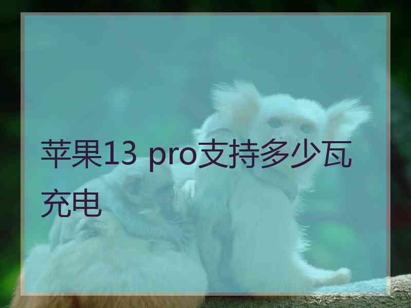 苹果13 pro支持多少瓦充电