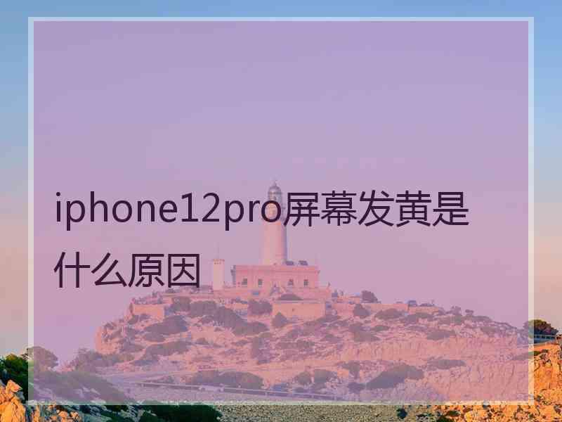 iphone12pro屏幕发黄是什么原因