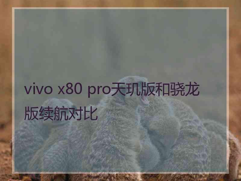 vivo x80 pro天玑版和骁龙版续航对比