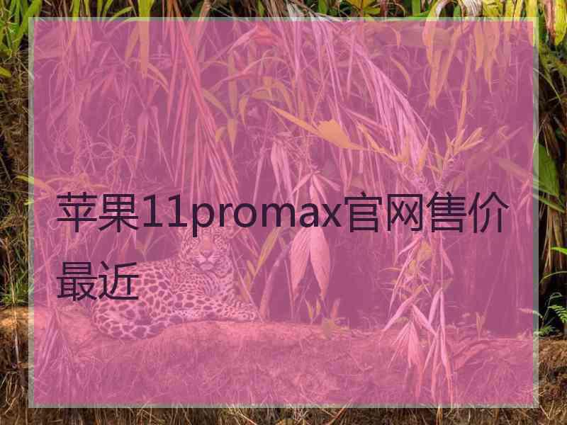 苹果11promax官网售价最近