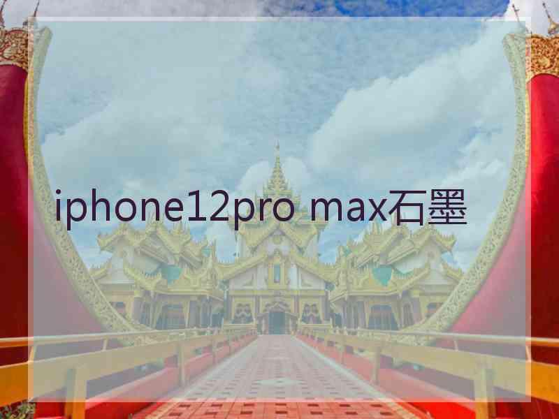 iphone12pro max石墨