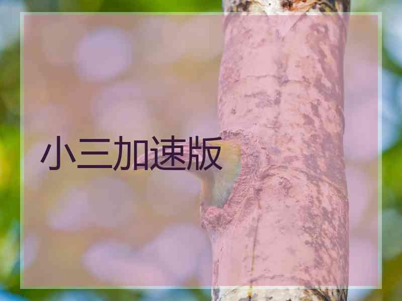 小三加速版