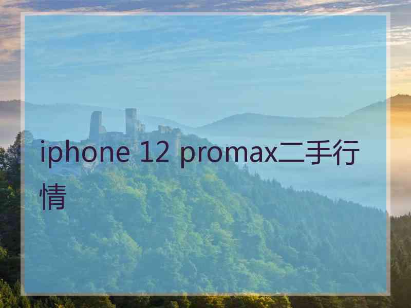 iphone 12 promax二手行情