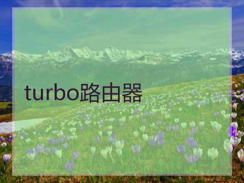 turbo路由器