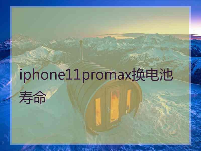 iphone11promax换电池寿命