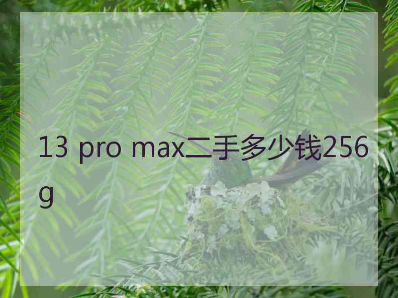 13 pro max二手多少钱256g