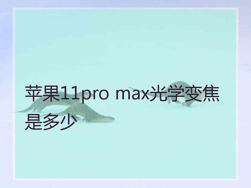 苹果11pro max光学变焦是多少