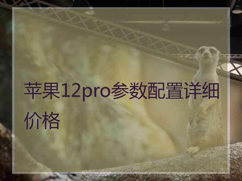 苹果12pro参数配置详细价格