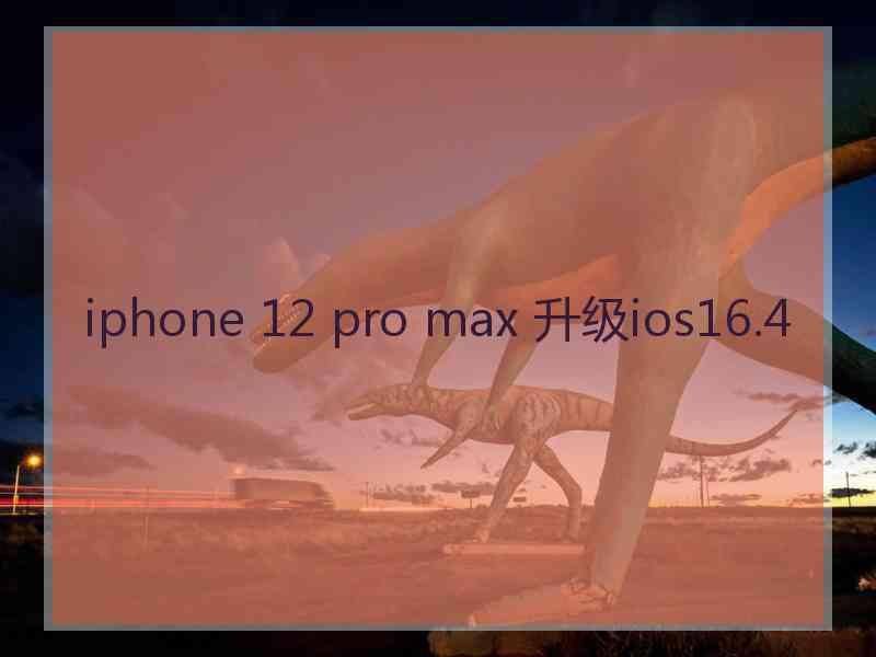 iphone 12 pro max 升级ios16.4