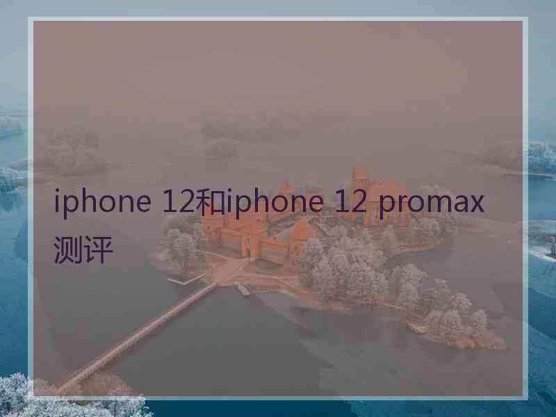 iphone 12和iphone 12 promax测评