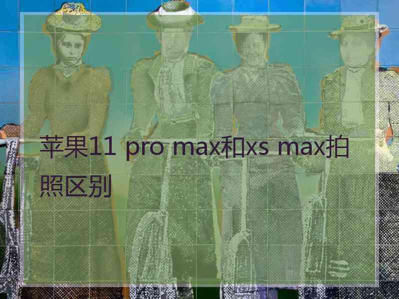 苹果11 pro max和xs max拍照区别