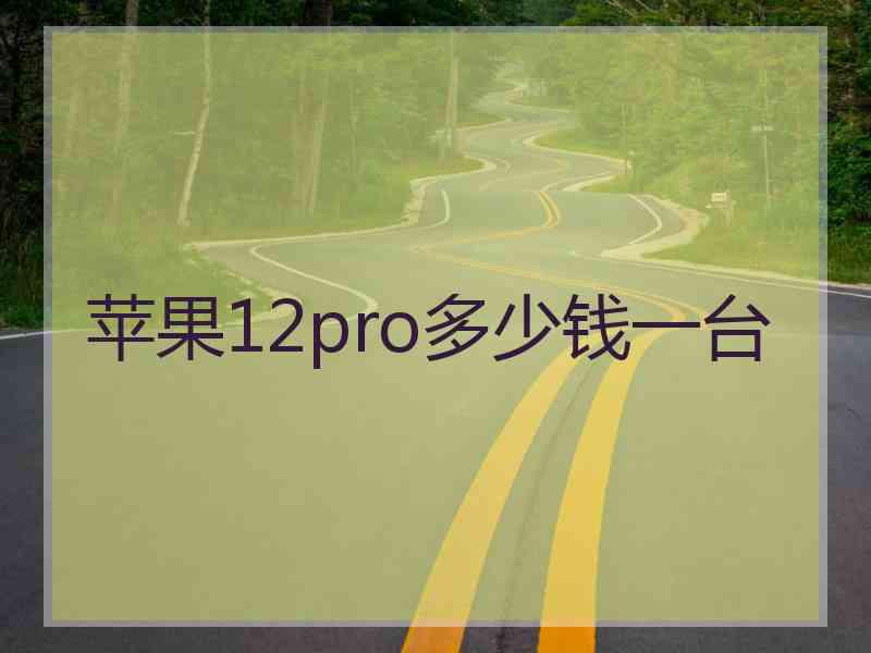 苹果12pro多少钱一台