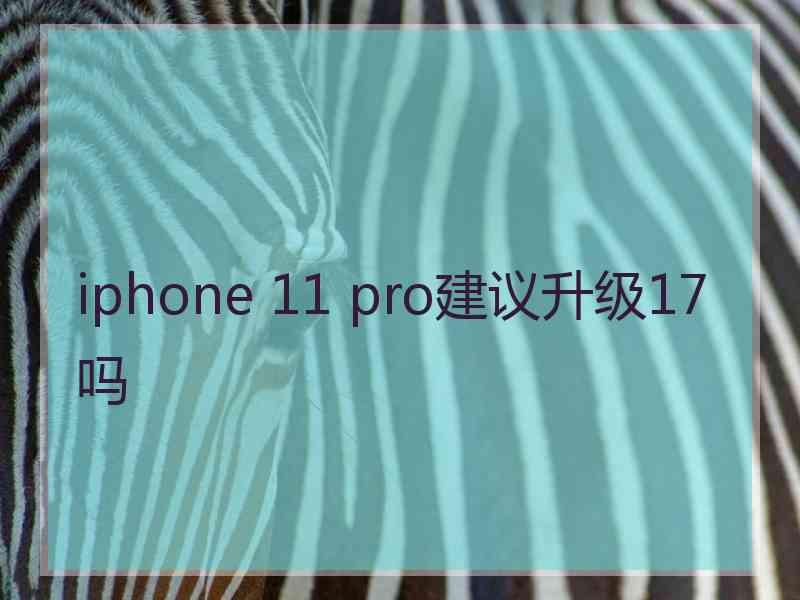 iphone 11 pro建议升级17吗