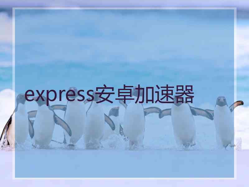 express安卓加速器