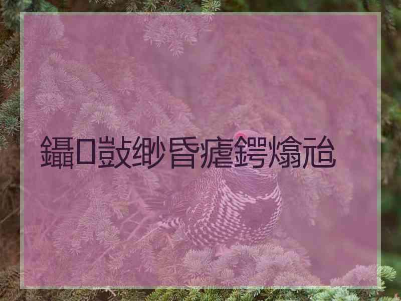 鑷敱缈昏瘧鍔熻兘