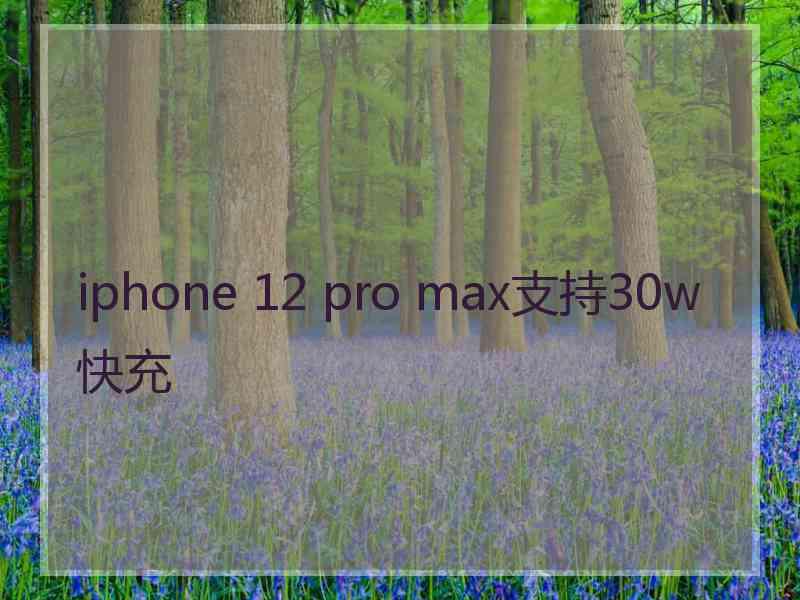 iphone 12 pro max支持30w快充