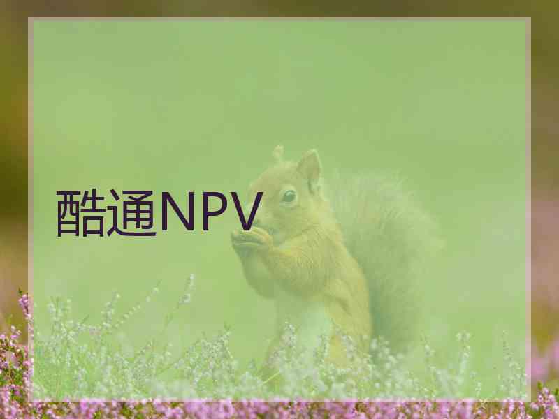 酷通NPV