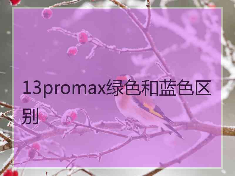 13promax绿色和蓝色区别