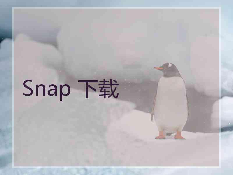 Snap 下载