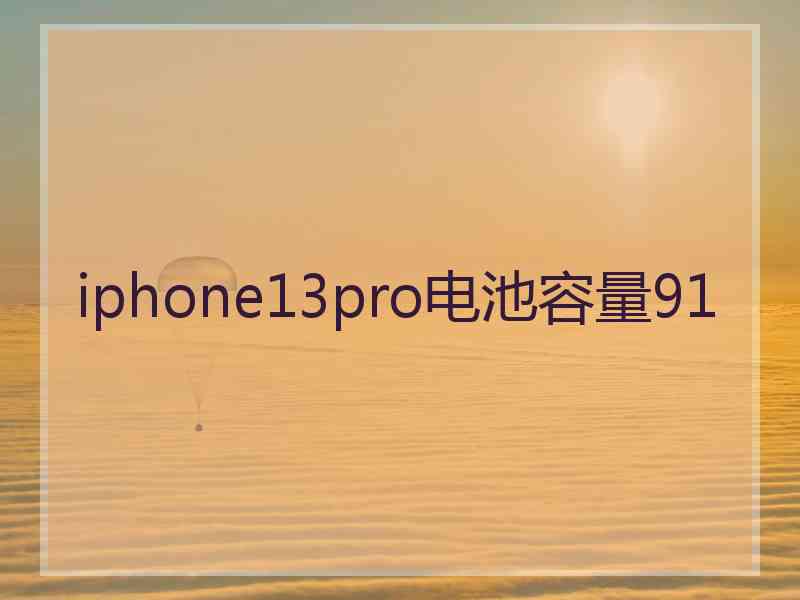 iphone13pro电池容量91