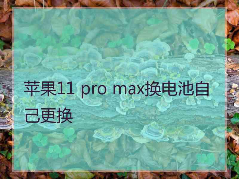 苹果11 pro max换电池自己更换