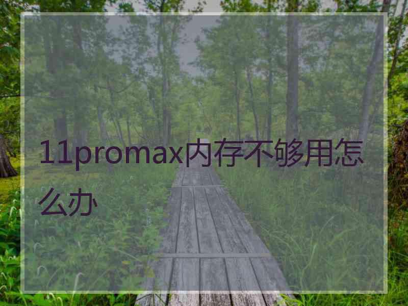 11promax内存不够用怎么办