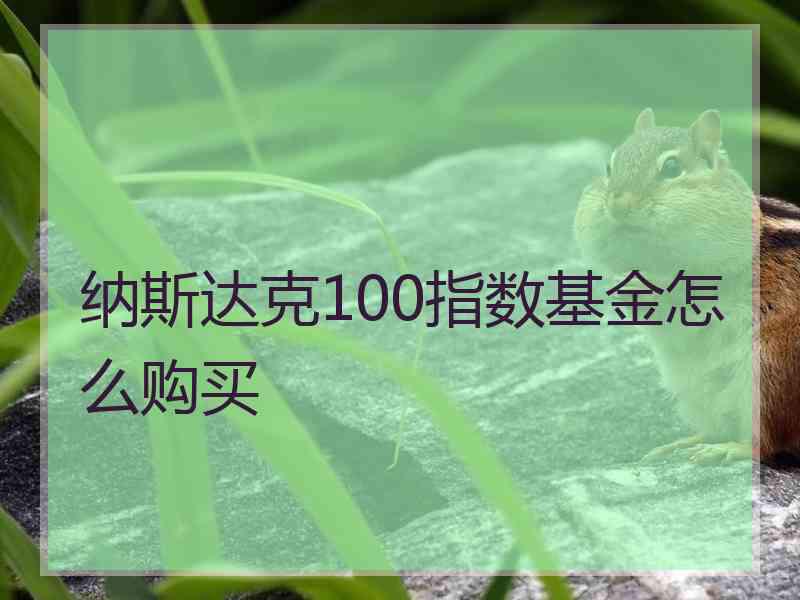 纳斯达克100指数基金怎么购买