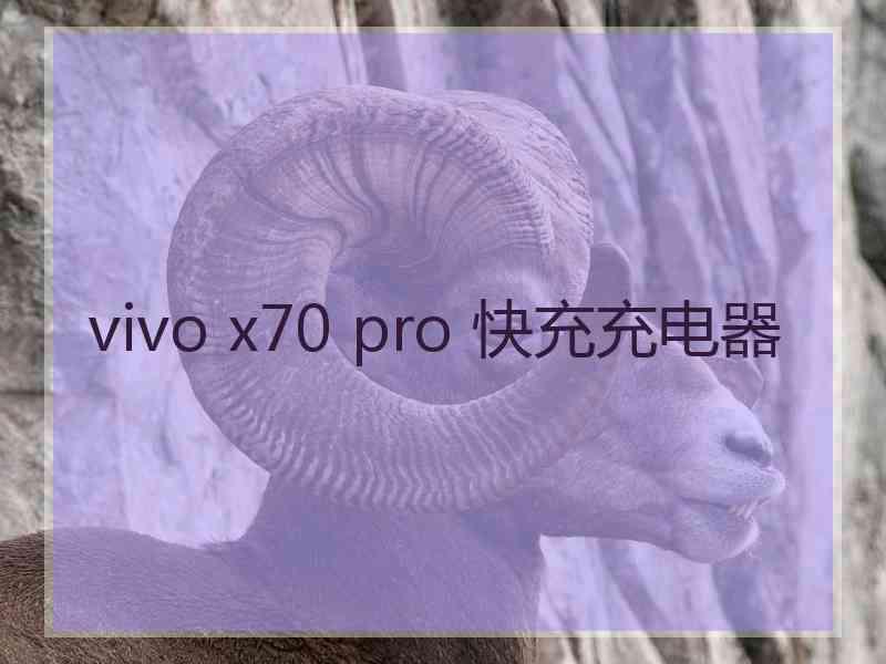 vivo x70 pro 快充充电器