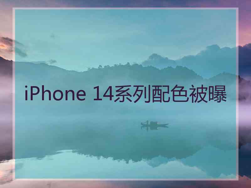 iPhone 14系列配色被曝