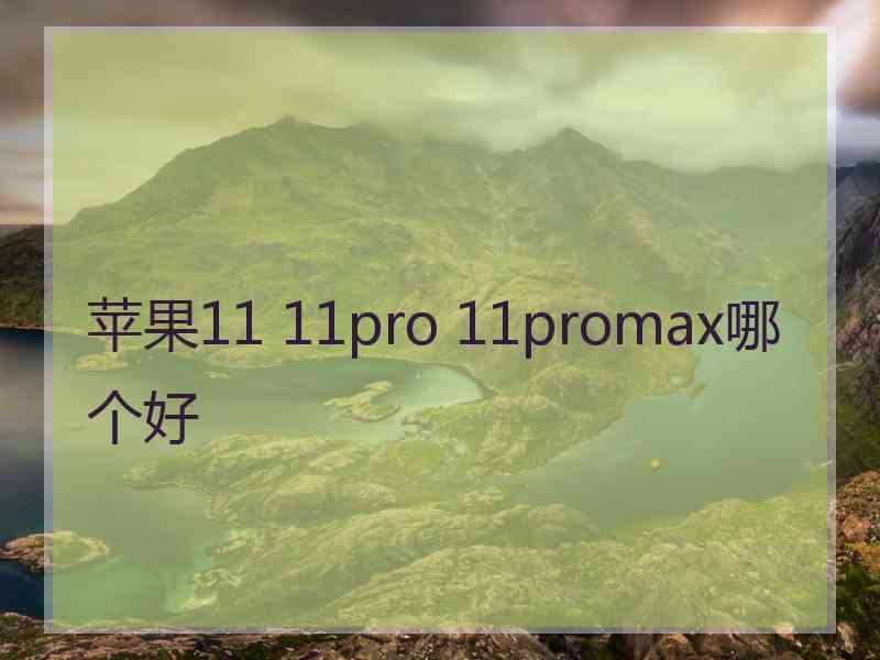 苹果11 11pro 11promax哪个好