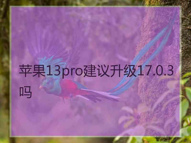 苹果13pro建议升级17.0.3吗