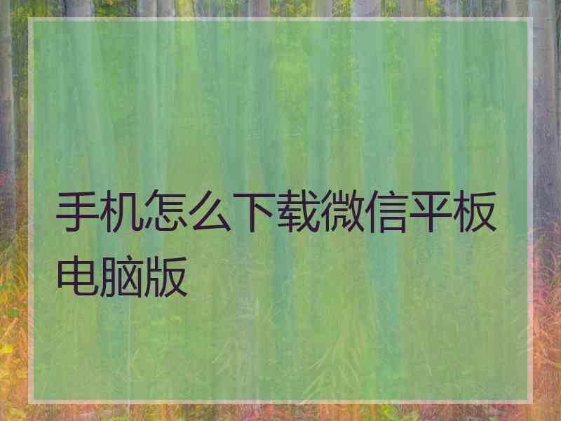 手机怎么下载微信平板电脑版