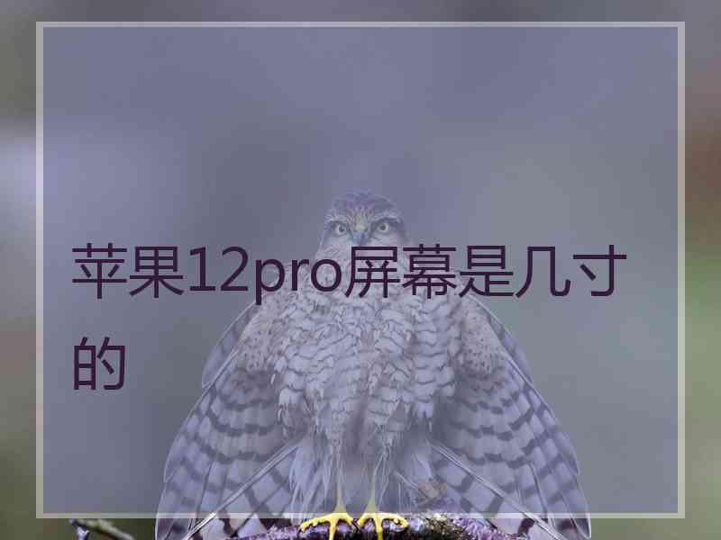 苹果12pro屏幕是几寸的