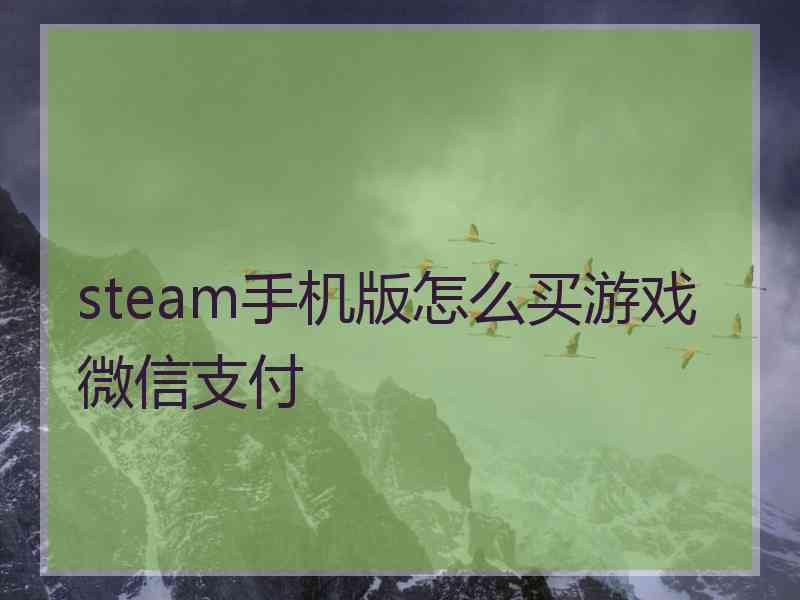 steam手机版怎么买游戏微信支付