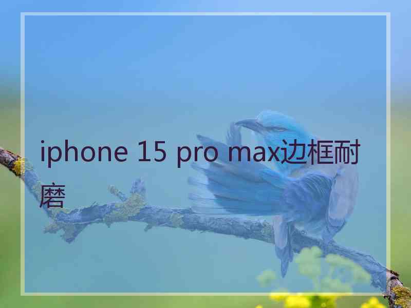 iphone 15 pro max边框耐磨