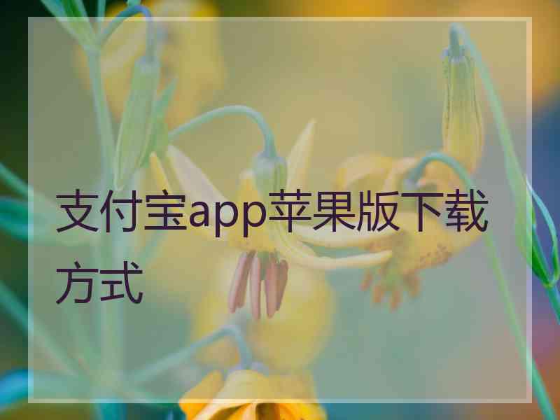 支付宝app苹果版下载方式