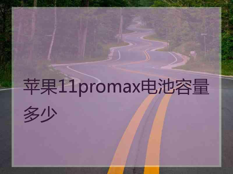 苹果11promax电池容量多少