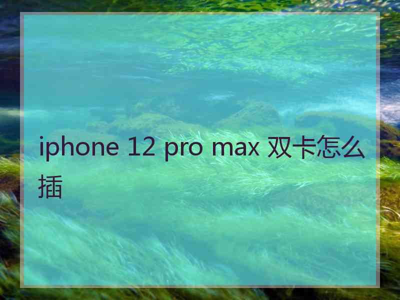 iphone 12 pro max 双卡怎么插