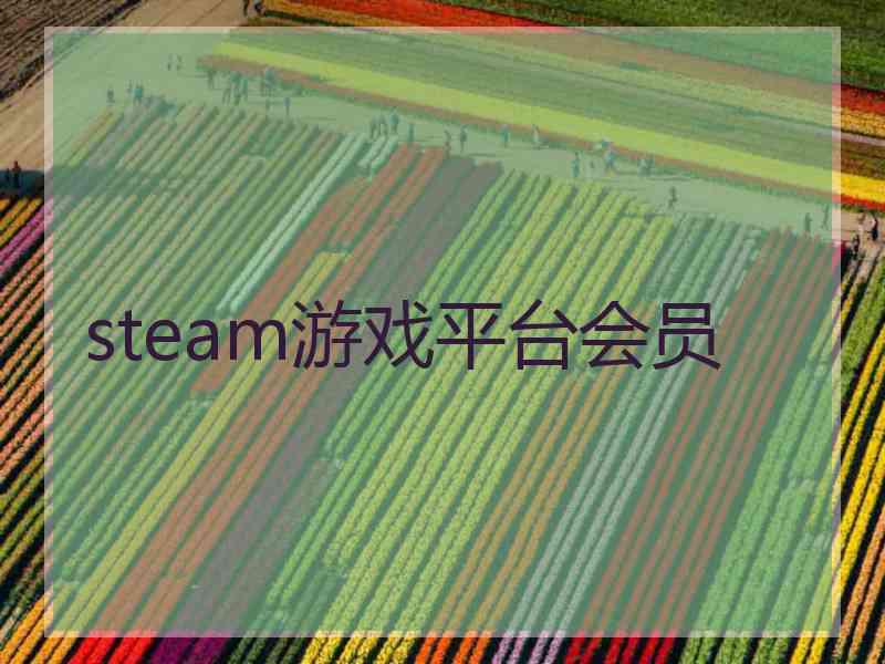 steam游戏平台会员