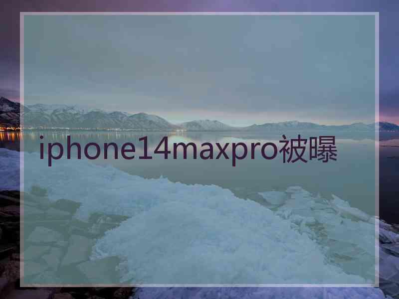 iphone14maxpro被曝