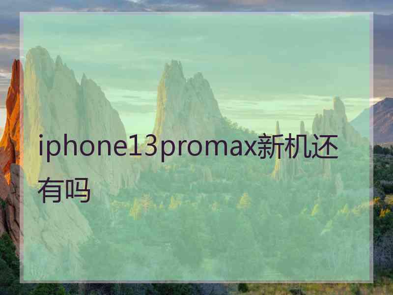 iphone13promax新机还有吗