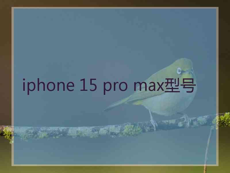 iphone 15 pro max型号